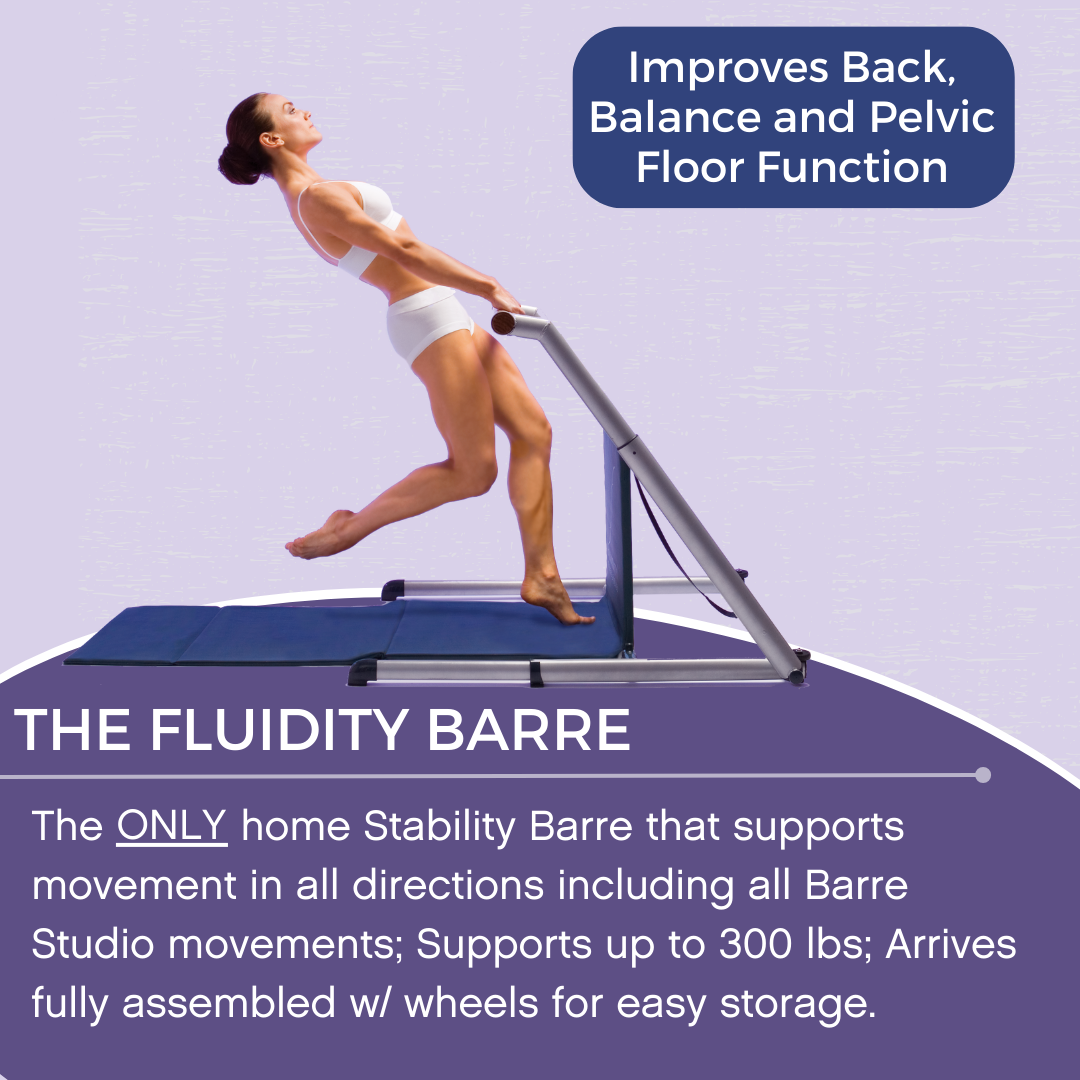Fluidity Barre Fitness Evolved Dance Ballet Yoga Bar DVD, Books, Ball &  Bands 