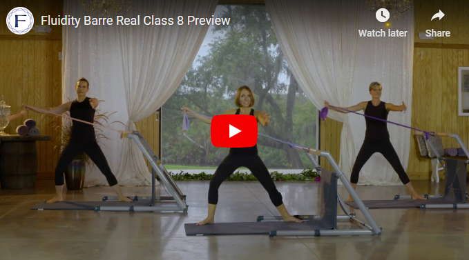 The Fluidity Barre System » Fitness Gizmos